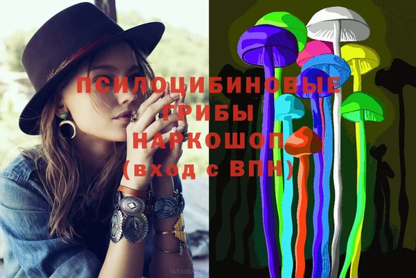 PSILOCYBIN Богданович