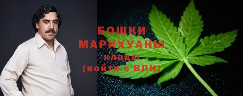 Каннабис SATIVA & INDICA  Красавино 